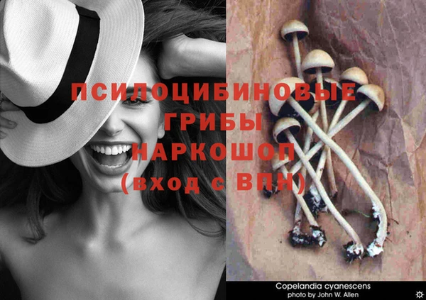 ГАЛЛЮЦИНОГЕННЫЕ ГРИБЫ Володарск